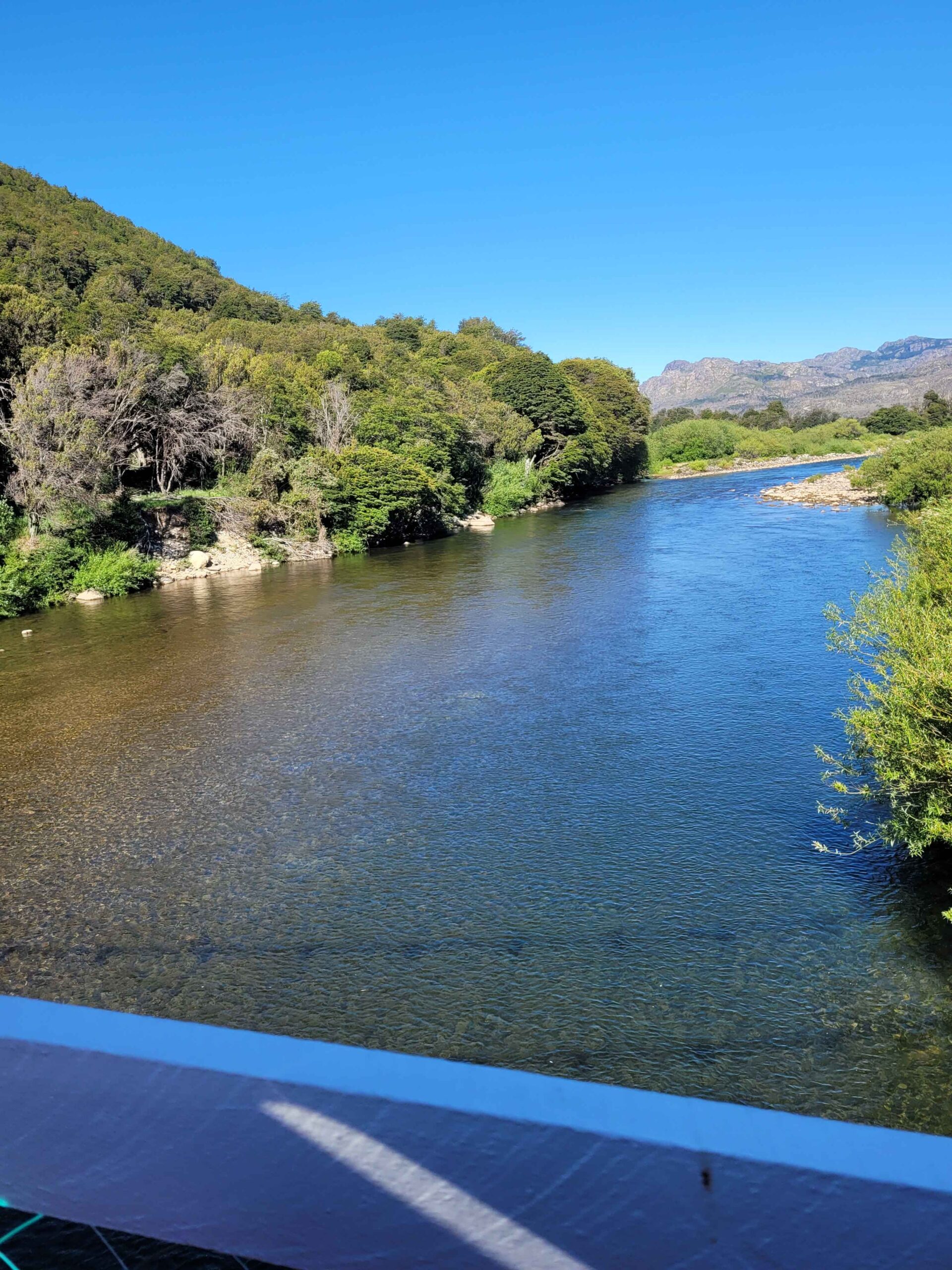 Campo de 320 Hectáreas – Aguas de Rio Nevado