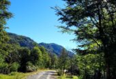 Campo de 320 Hectáreas – Aguas de Rio Nevado
