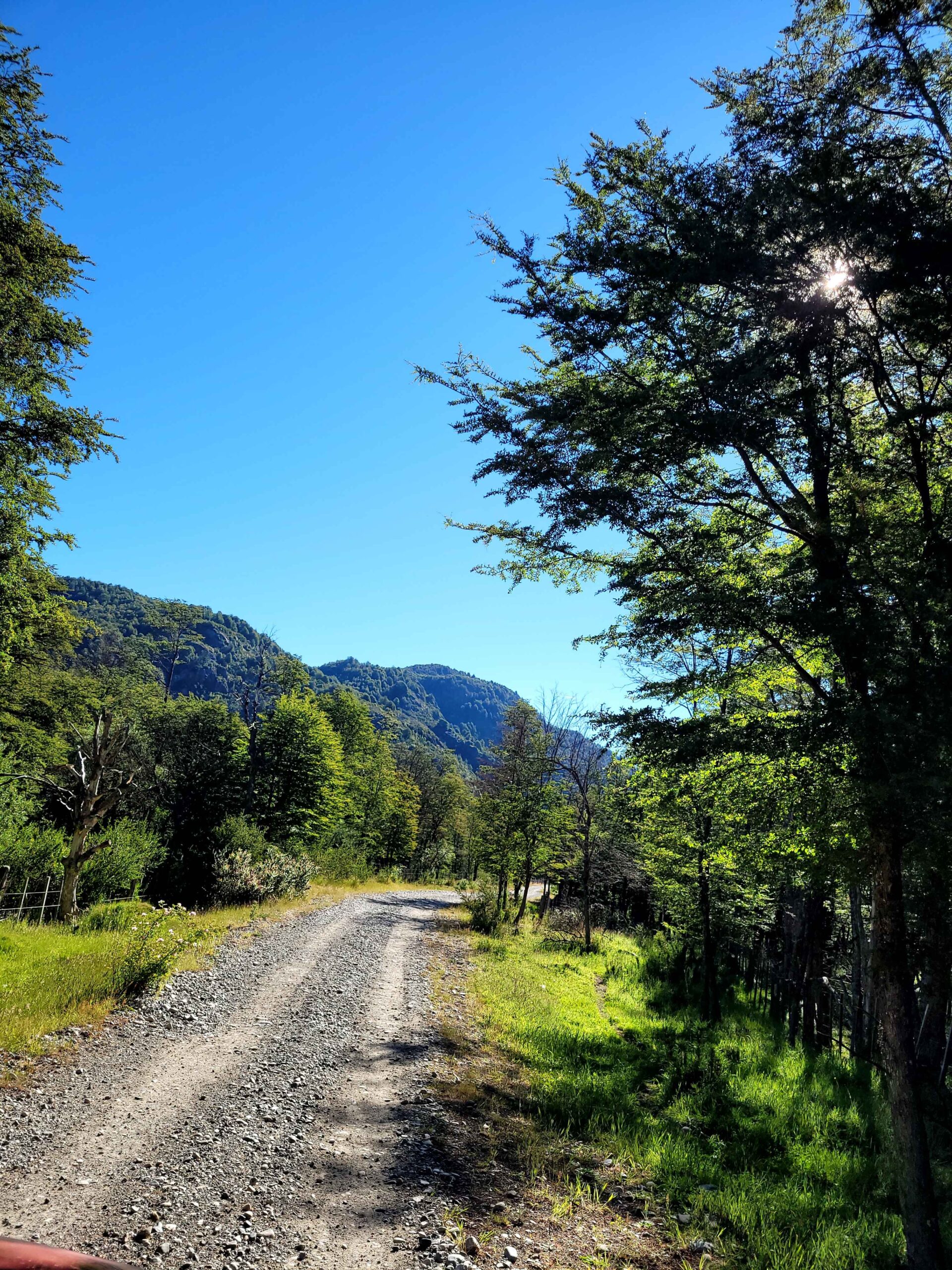 Campo de 320 Hectáreas – Aguas de Rio Nevado