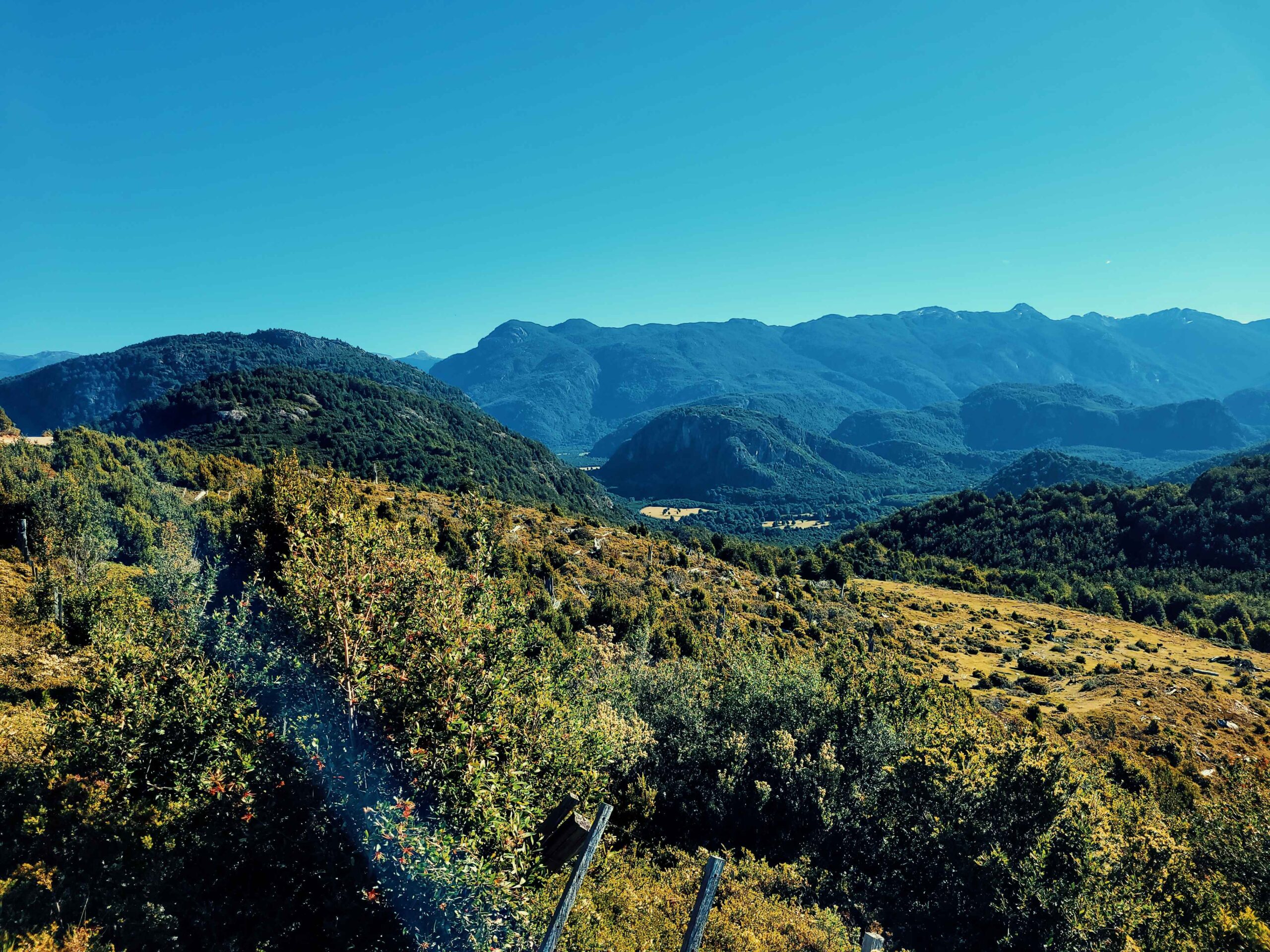 Campo de 320 Hectáreas – Aguas de Rio Nevado